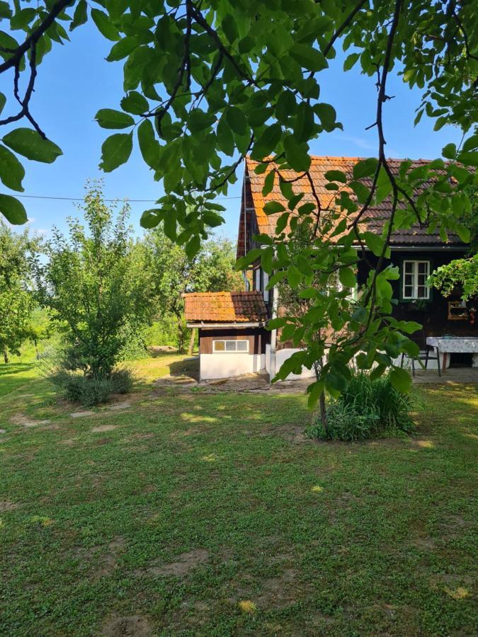Holiday Home Hizica V Plavem Trnacu Gornja Stubica Exterior photo