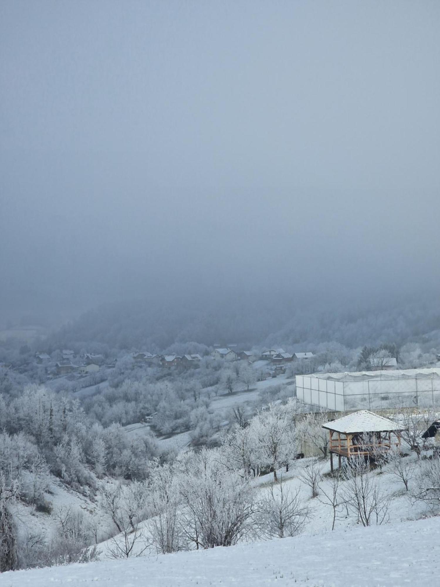 Holiday Home Hizica V Plavem Trnacu Gornja Stubica Exterior photo